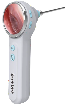 RAE-500