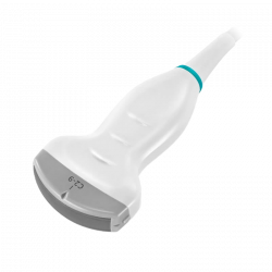 C2-9